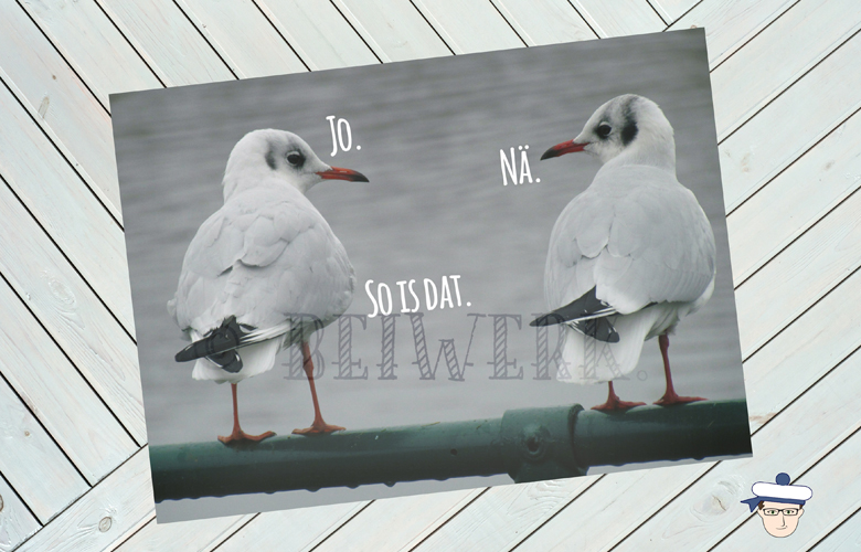 Postkarte von Beiwerk mit Möwen