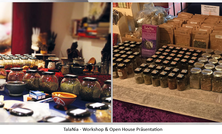 TalaNia: Workshop und Open House Präsentation